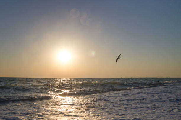 istock Beautiful sunset on the summer sea 1012648308