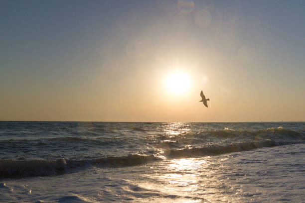istock Beautiful sunset on the summer sea 1012648332