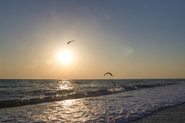 istock Beautiful sunset on the summer sea 1012648342