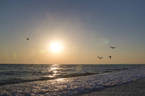 istock Beautiful sunset on the summer sea 1012648348