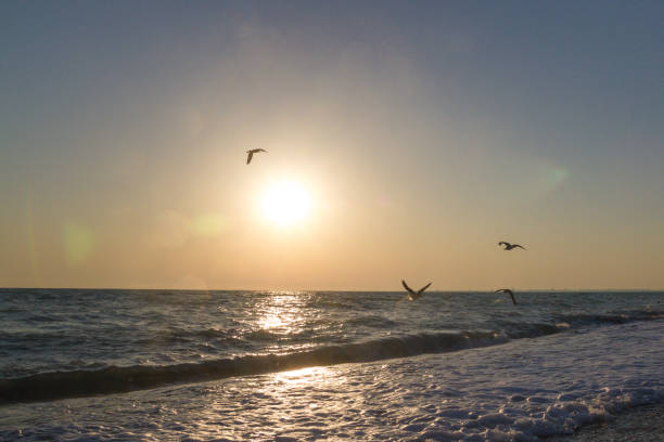 istock Beautiful sunset on the summer sea 1012648370