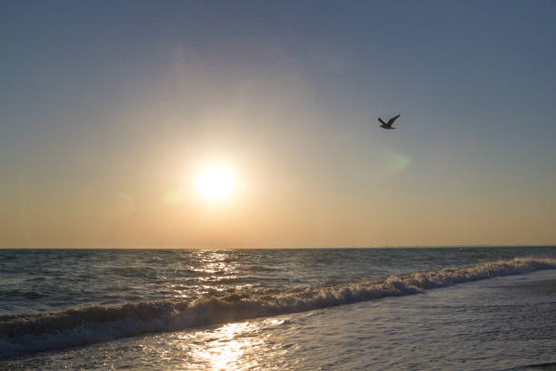 istock Beautiful sunset on the summer sea 1012648384