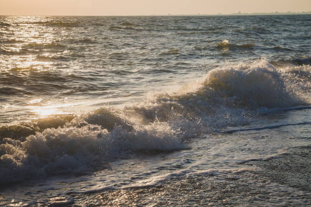 istock Evening sea sunset in the summer 1012648506