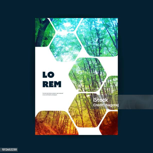 Flyer Or Cover Design Woodland Stock Illustration - Download Image Now - Book Cover, Plan - Document, Hexagon