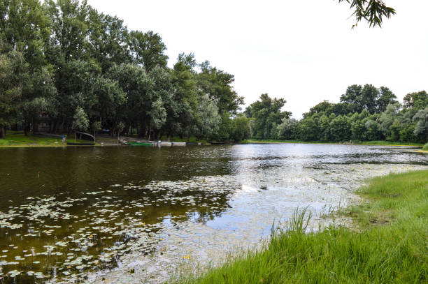 istock River in Nature Reserve Landscape 1012655444