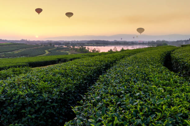 istock Change Ri , North of Thailand. 1012655636