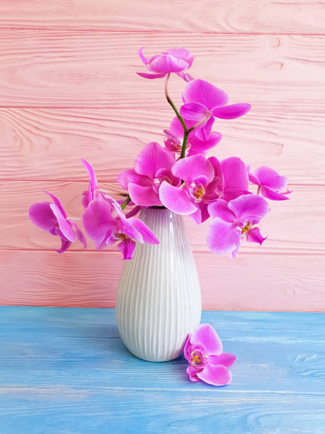istock vase orchid flower on a wooden background 1012655986