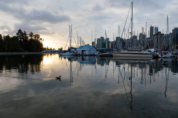 istock Coal Harbour in Vancouver 1012667354