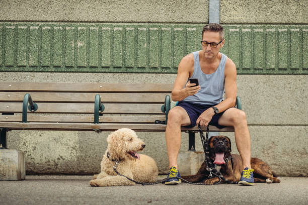 Dog walker taking a break at the station