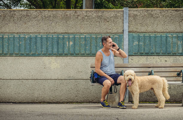 istock Dog walker taking a break at the station 1012676932