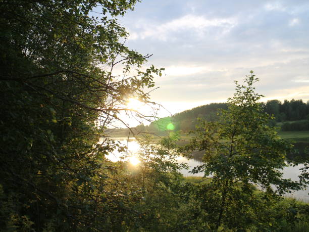 istock The sun shines through the trees on a summer evening 1012682676