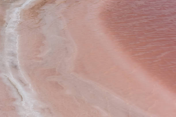 istock Salting swamp 1012691274