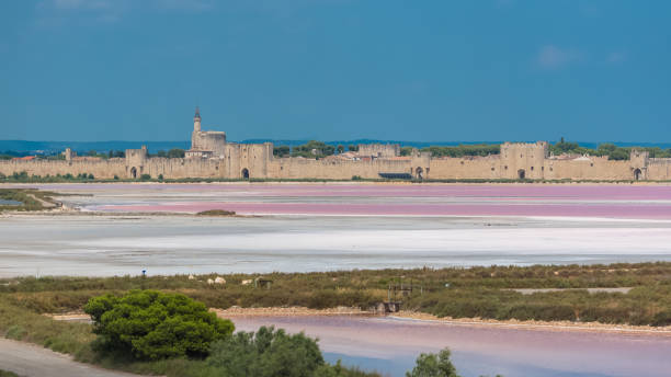 istock Aigues-Mortes, Salins du Midi 1012693512