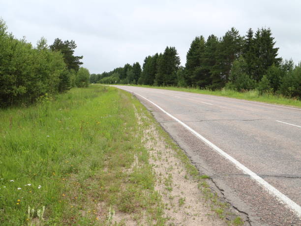 istock asphalted country road 1012696154