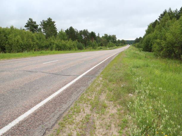 istock asphalted country road 1012696160