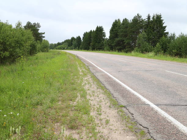 istock asphalted country road 1012696252