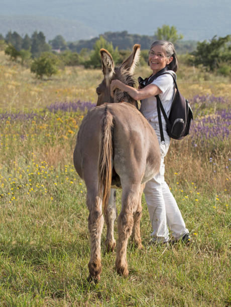 istock Happy woman with a donkey 1012699850