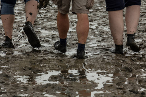 istock Hike in socks in the Wadden Sea 1012706826