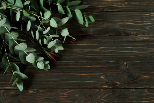 istock frame made of eucalyptus branches on dark wooden background. Flat lay, top view. copy space 1012707224