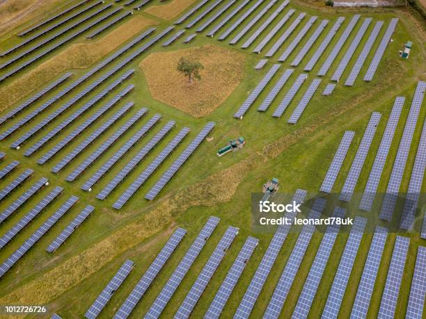 Granja De Energía Solar Foto de stock y más banco de imágenes de Agricultura - Agricultura, Aire libre, Cable