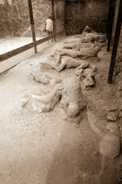 Plaster casts of victims in the "Garden of the Fugitives" in Pompeii, near Naples, Italy UNESCO World Heritage Site of Pompeii, Italy, 11th June, 2011. The ancient Roman city of Pompeii was buried under 5 m of volcanic ash and pumice in the eruption of Mount Vesuvius in 79 AD and therefor has been largely preserved for todays science and archeology. Even scientific excavations are still ongoing, the site is mostly recovered and open to visitors.
This picture shows plaster casts of victims in the moment of their death. Apparently they were surprised by the proportions of the volcanic pyroclastic flow. victims the ruins of pompeii stock pictures, royalty-free photos & images