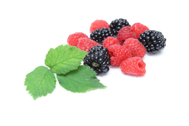 istock blackberries and raspberries in a white background 1012737606