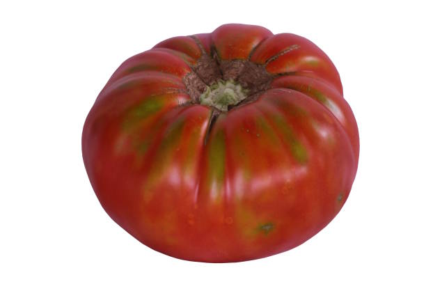 homegrown organic tomato isolated on a white background - heirloom tomato homegrown produce tomato organic imagens e fotografias de stock