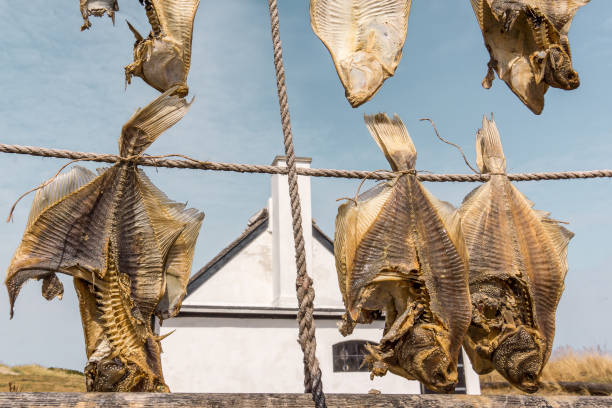istock Dried Flatfish, hanging on ropes in front of a white cottage 1012762908