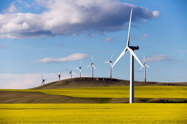 Wind Turbine Power Generation Wind turbine power generation in canola field near Pincher Creek, Alberta, Canada. canadian culture photos stock pictures, royalty-free photos & images