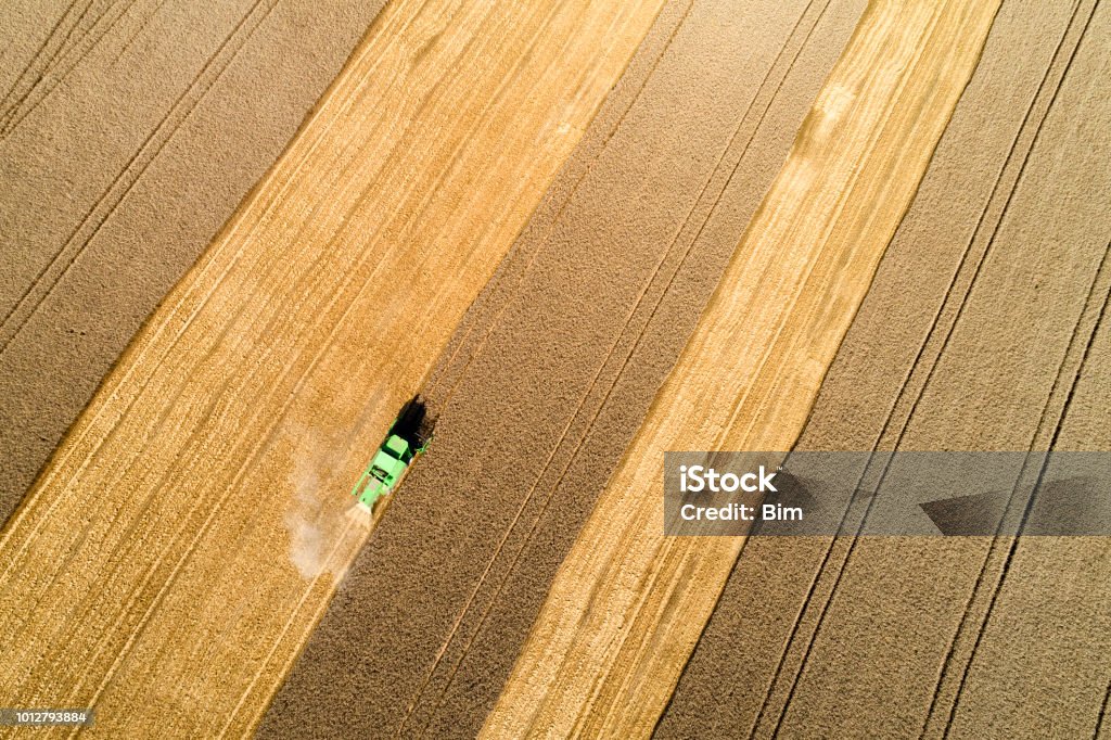 Aerial view of combine harvester harvesting wheat in field Aerial view of combine harvester harvesting wheat in field, Baden Württemberg, Southern Germany Agricultural Field Stock Photo