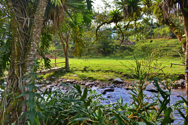 istock Rural Landscape with River, tree and montain 1012801394