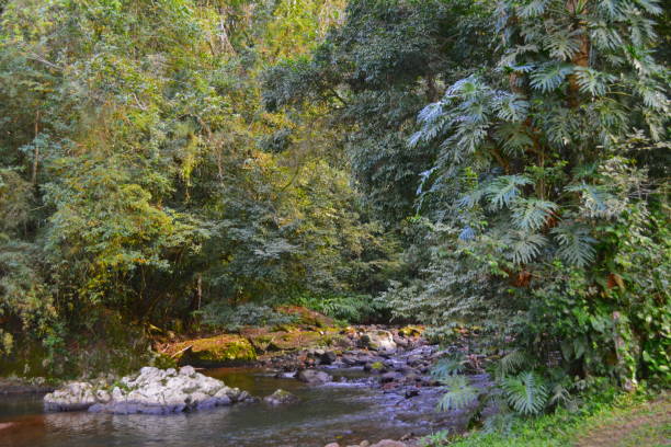 istock Rural Landscape with River, tree and montain 1012801486