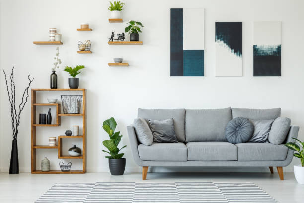elegant living room interior with a grey sofa, wooden shelves, plants and paintings on the wall - parede ilustrações imagens e fotografias de stock