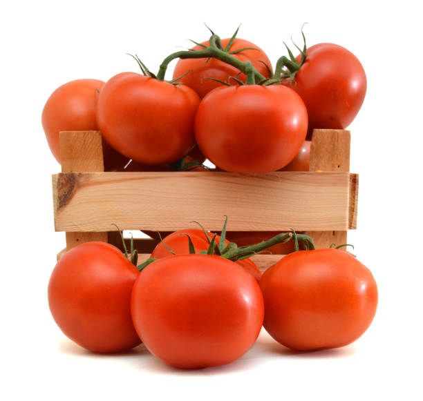 istock Red tomatoes in wooden crate on white 1012828322