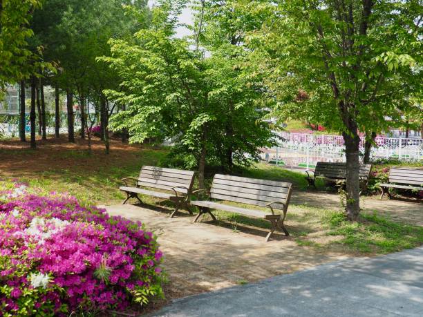 istock Cheongju city park bench in Korea 1012850464