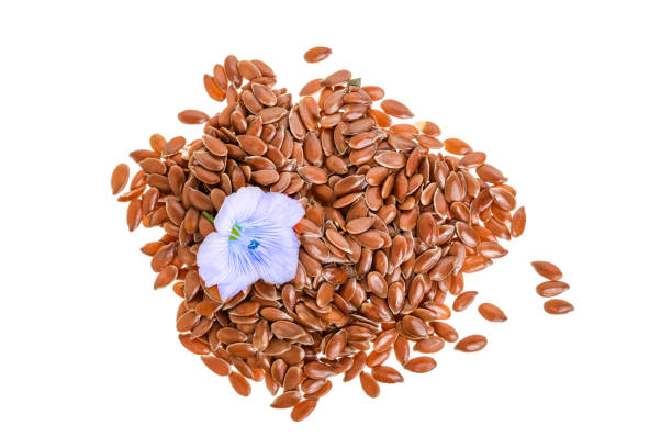 istock flax seeds with flower isolated on white background 1012895044