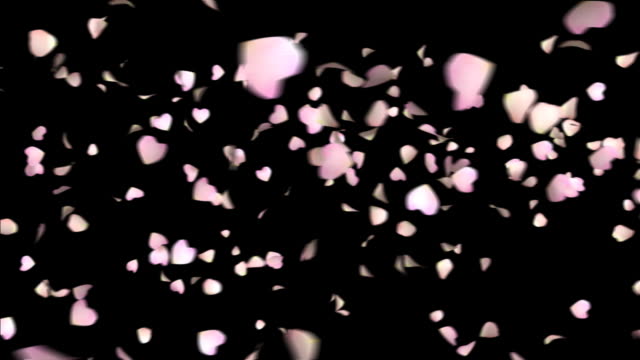 The petal to dance-HD 1080 loop+alpha