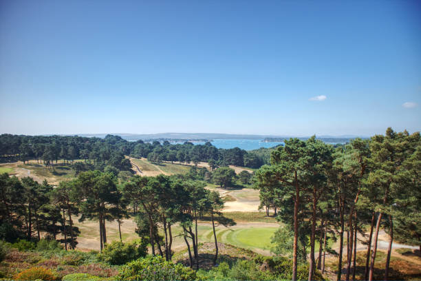 A view of Sandbanks, the Purbeck Hills and Brownsea Island in Dorset, UK. A panoramic view of Sandbanks, the Purbeck Hills, Brownsea Island and a golf course from Poole on the Dorset Coast in England, UK in the summer. sandbanks poole harbour stock pictures, royalty-free photos & images