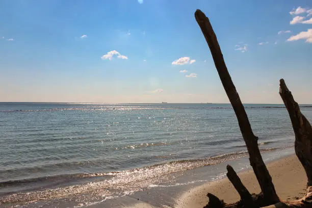 Clear summer tropical seascape