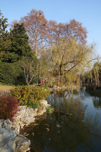 istock Xihu Lake China 1012906704
