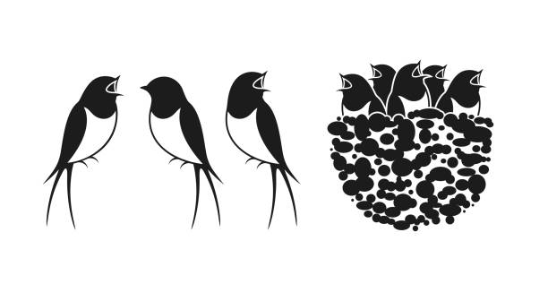 세트 제비. 제비의 둥지 - birds nest illustrations stock illustrations