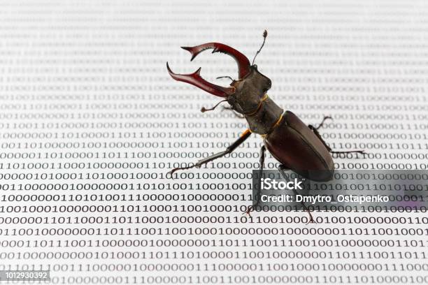 Bugs Search In Programm Code Testing Software Quality Assurance Stock Photo - Download Image Now