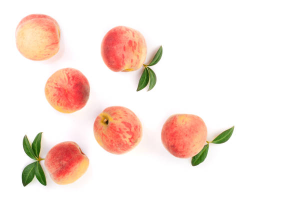 istock ripe peaches with leaves isolated on white background with copy space for your text. Top view. Flat lay pattern 1012930976