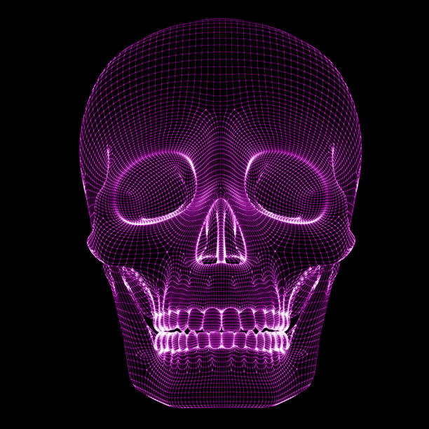 Single human skull in the darkness.