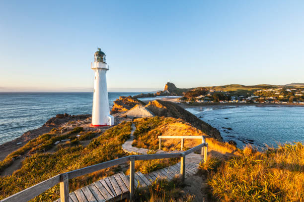 faro di castlepoint, wairarapa, nuova zelanda - castlepoint foto e immagini stock