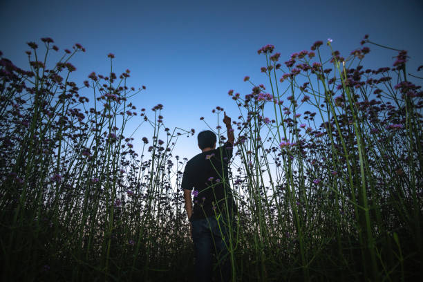 istock man standing in the Myosotis sylvatica blooming at night 1012941758