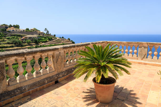 istock Pot with flower on terrace 1012941764