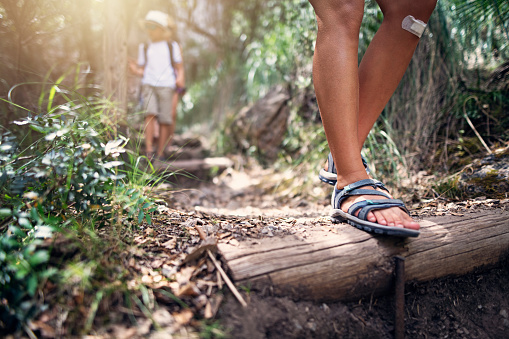 Tourist with hiking boots walking on footpath in forest. Trekking trail in woodland. Waterproof leather ankle boot. Panoramic view