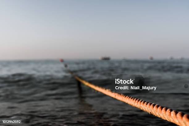 Orange Rope Stretching From The Shoreline To Buoys Tethered Offshore Stock Photo - Download Image Now