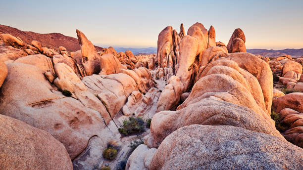 istock Unique rock formations at Joshua Tree National Park. 1012947940